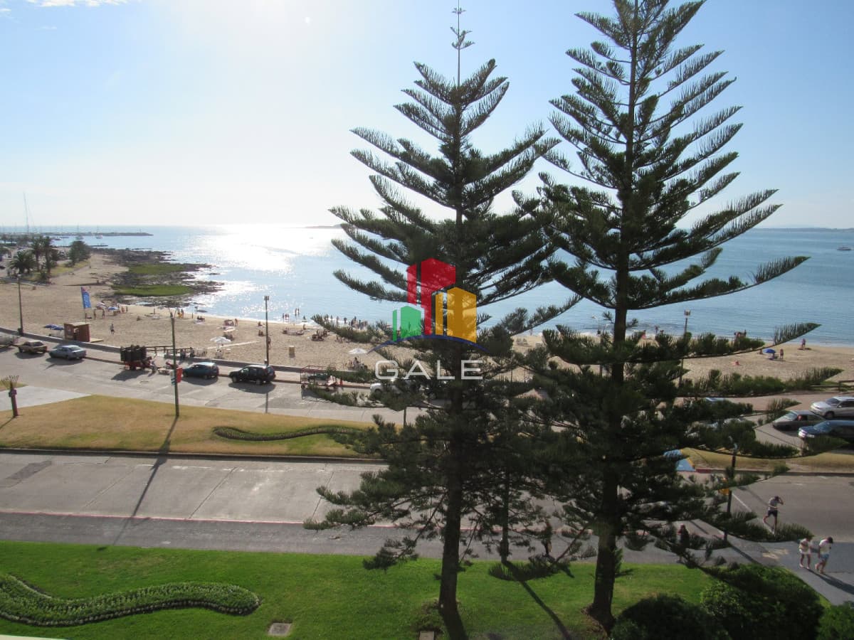 Alquiler de apartamento de 3 dormitorios en Punta del Este  -