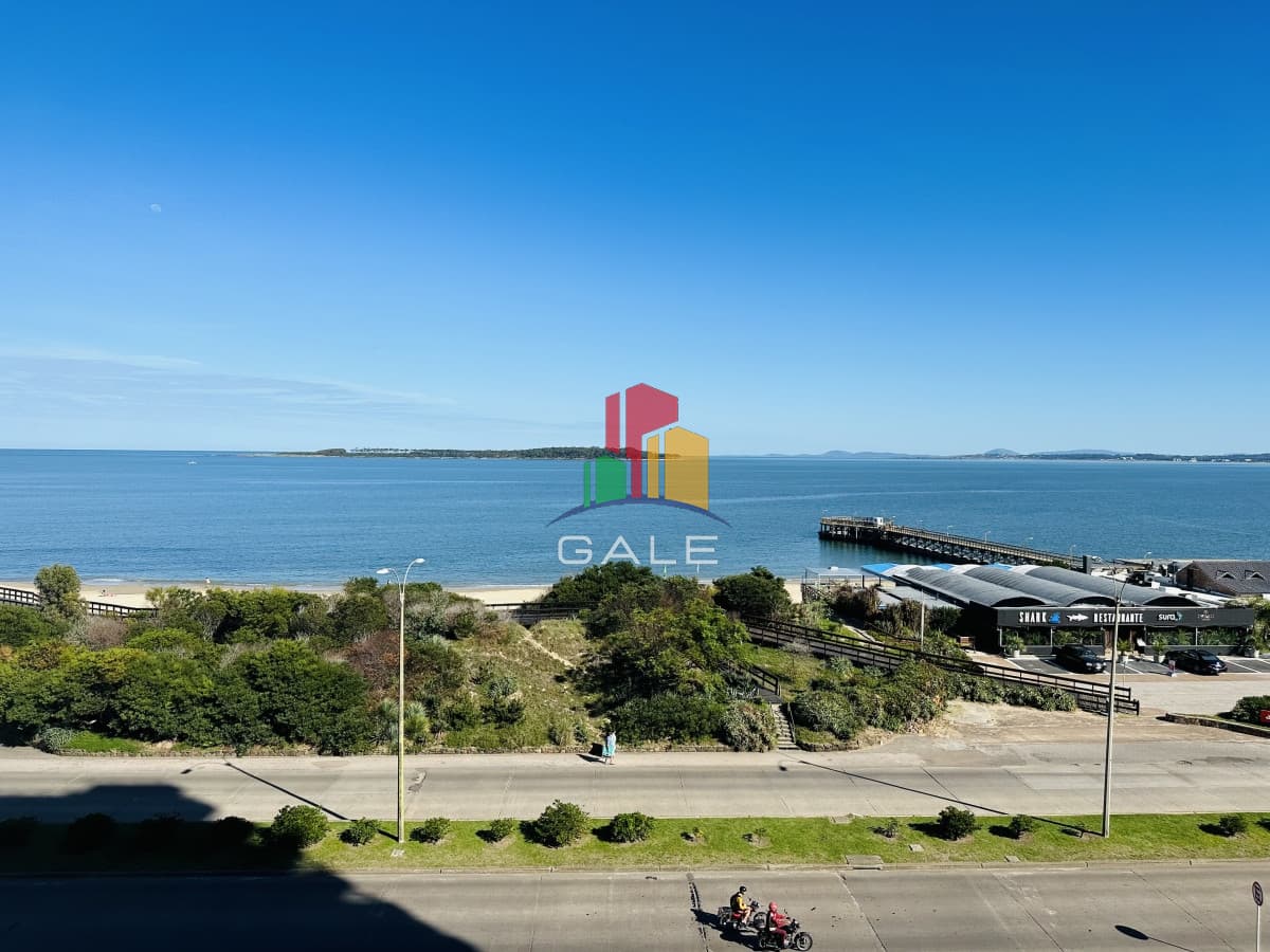 Apto en Alquiler temporada 2024, punta del este.  -