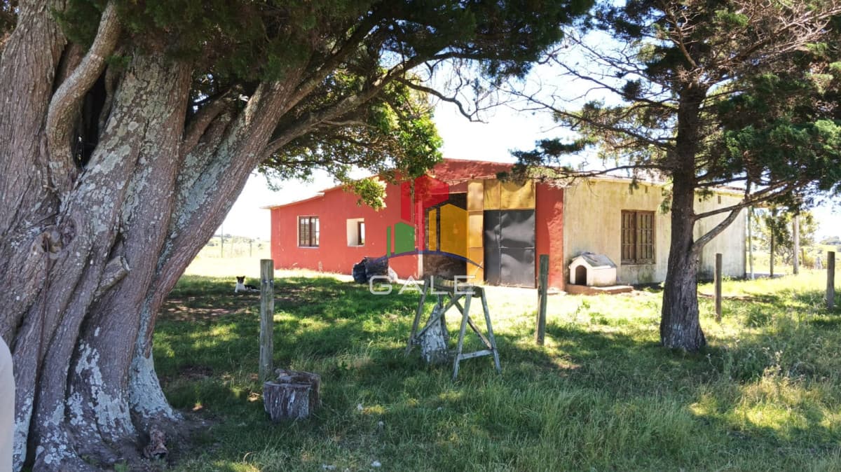 Gale Propiedades & Escribanía Chacra ID.3650 - Chacra en venta en Sierras del carapé