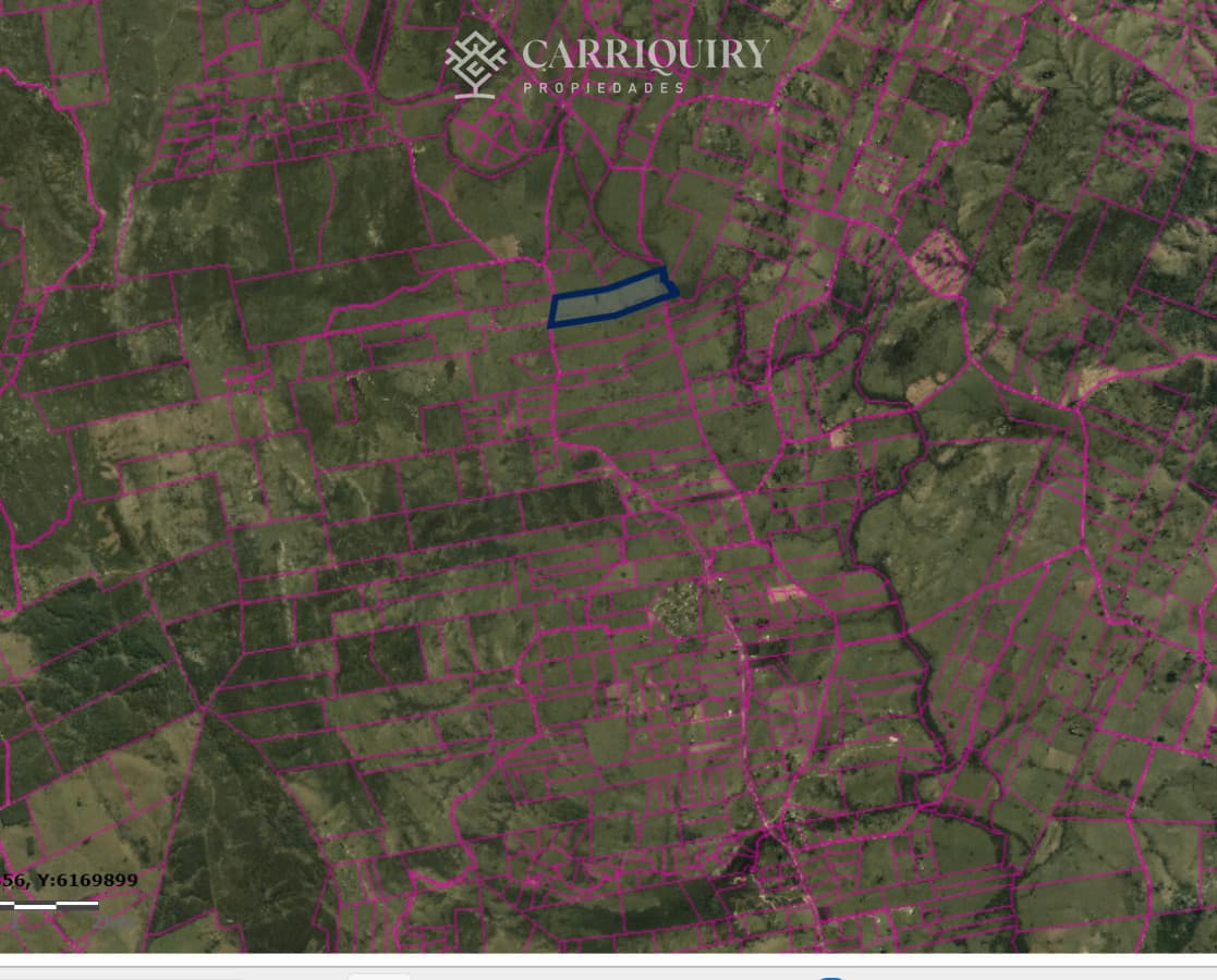 Campo 63 Has en Venta sobre Ruta 12