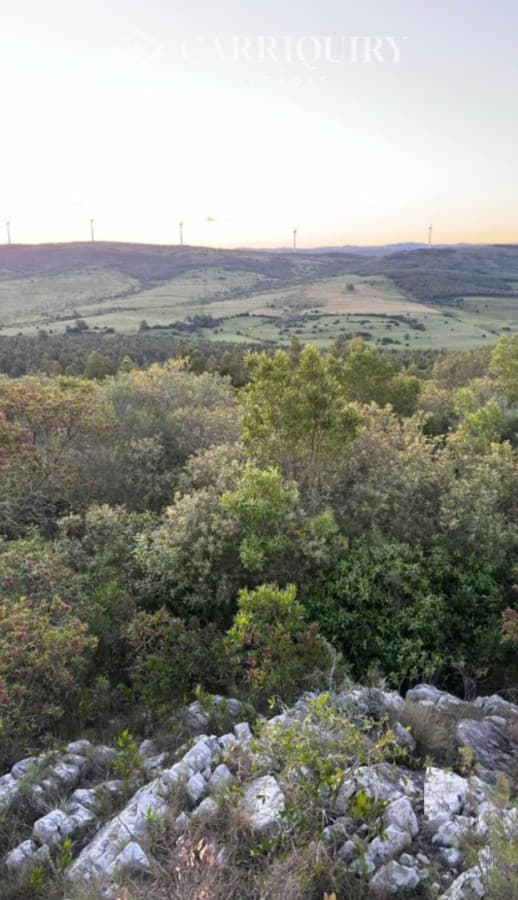 CHACRA EN VENTA SAN CARLOS   -