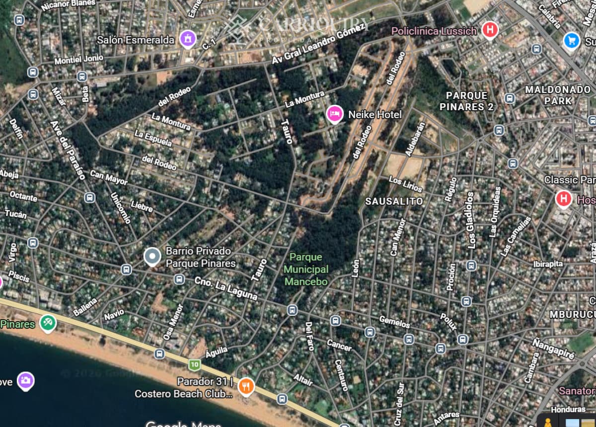 Campo 63 Has en Venta sobre Ruta 12