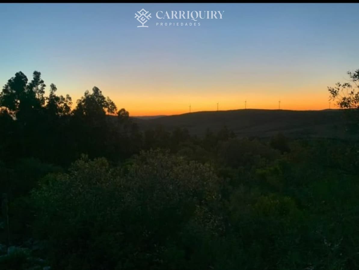 CHACRA EN VENTA SAN CARLOS   -
