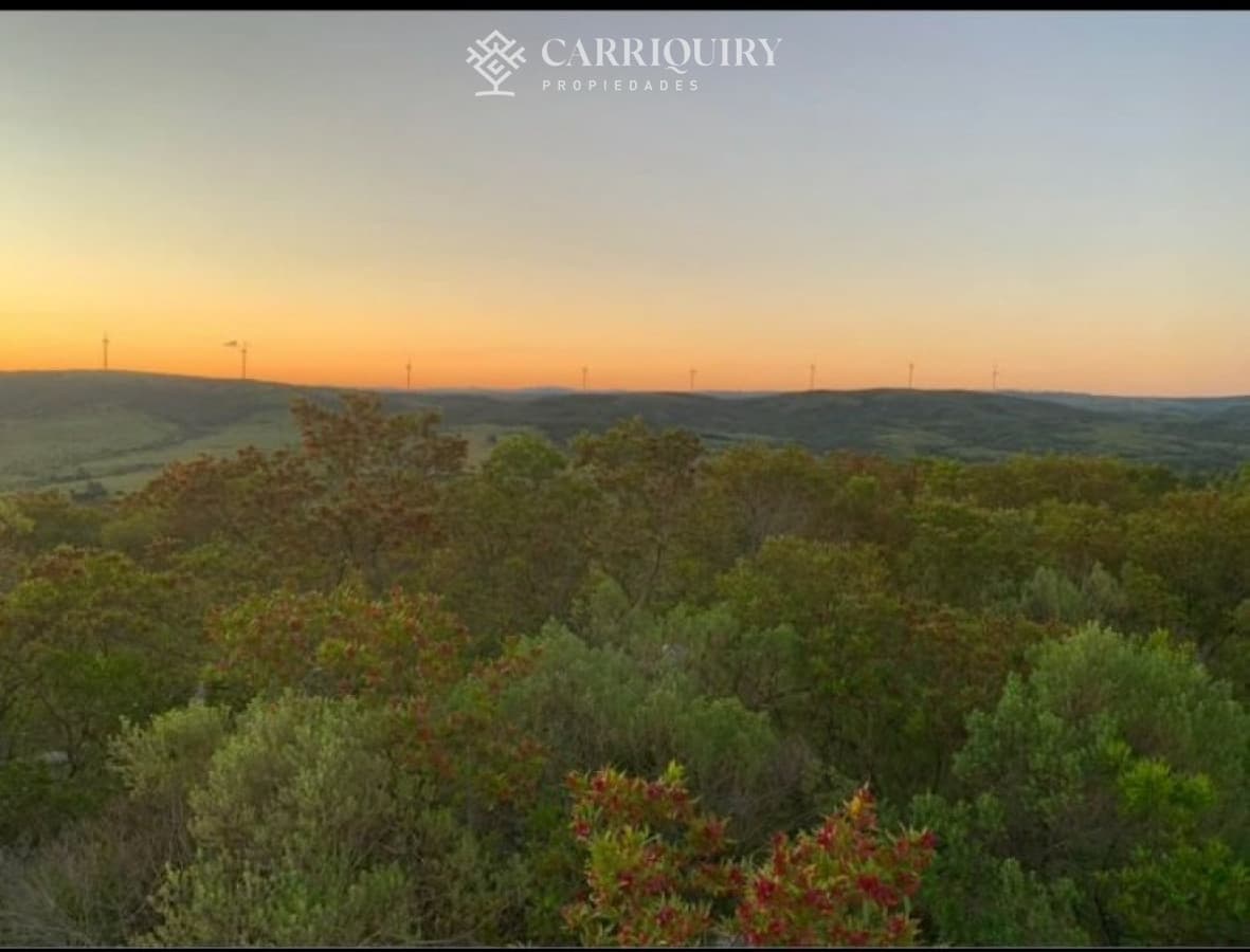 CHACRA EN VENTA SAN CARLOS   -