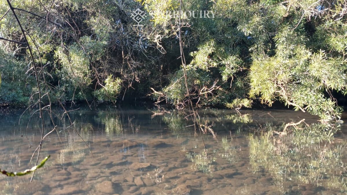 Campo 63 Has en Venta sobre Ruta 12