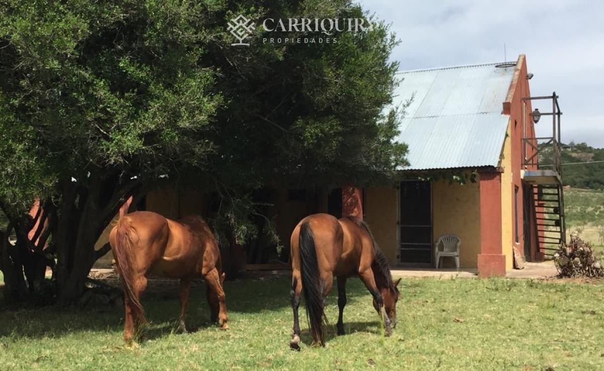 Chacra de 5 has en venta Punta Ballena   -