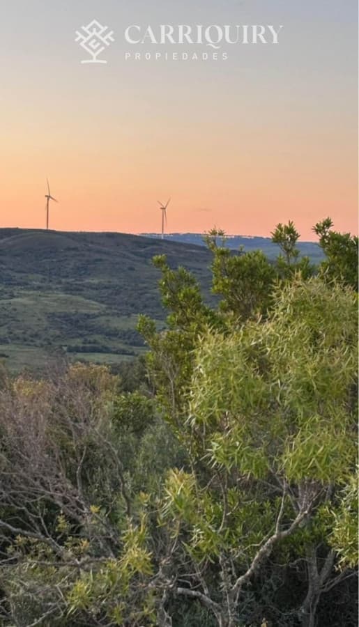CHACRA EN VENTA SAN CARLOS   -