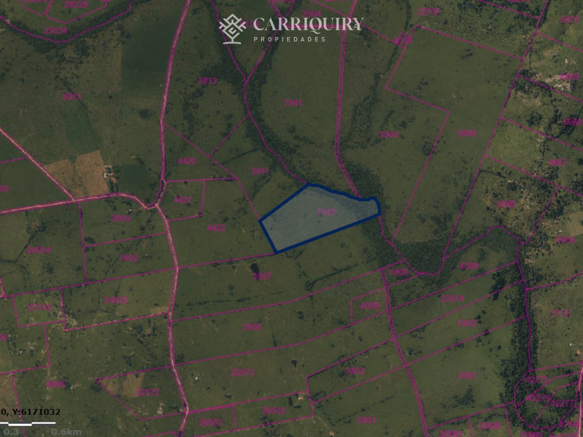 Campo 63 Has en Venta sobre Ruta 12