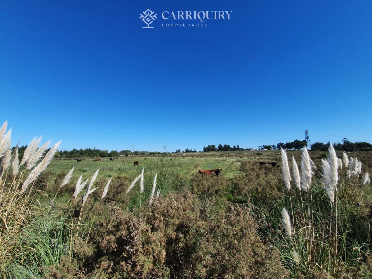 Venta de Campo en Montevideo Zona Rural  -