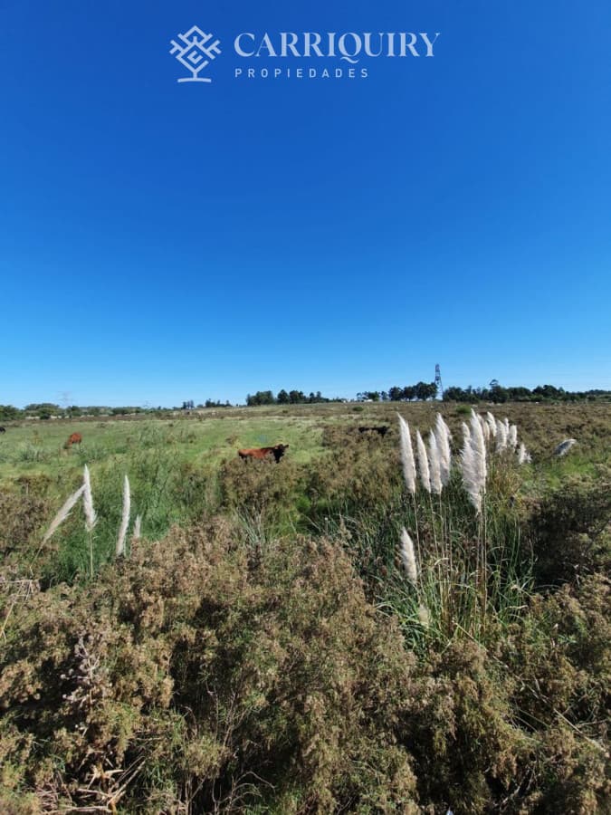 Venta de Campo en Montevideo Zona Rural  -
