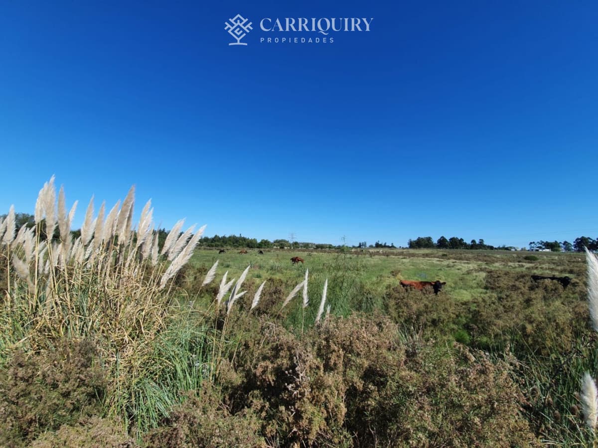 Venta de Campo en Montevideo Zona Rural  -