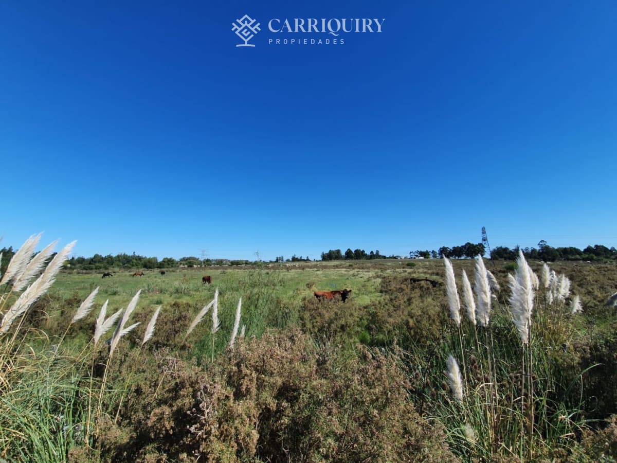 Venta de Campo en Montevideo Zona Rural  -