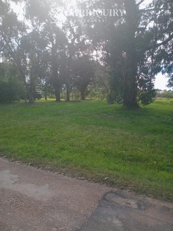 OPORTUNIDAD LOTE DE 1000 M2 EN VENTA EN PINARES ZONA MUY TRANQUILA DE BUENAS PROPIEDADES IDEAL PARA HACER 2 CASA  -