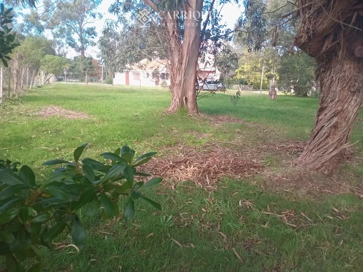 OPORTUNIDAD LOTE DE 1000 M2 EN VENTA EN PINARES ZONA MUY TRANQUILA DE BUENAS PROPIEDADES IDEAL PARA HACER 2 CASA  -