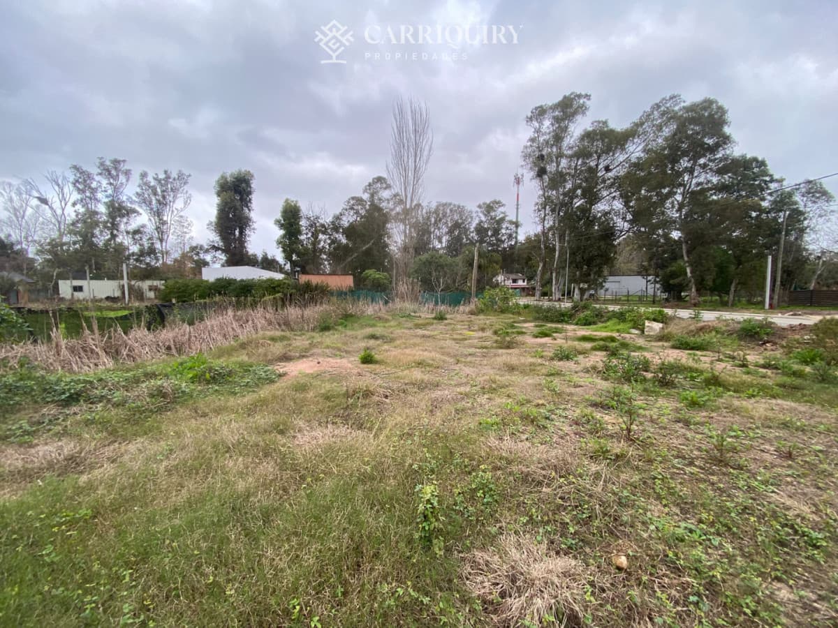 OPORTUNUIDAD LOTE EN VENTA EN UNA DE LA ZONAS DE MAYOR CRECIMIENTO EN LA BARRA EL TESORO   -