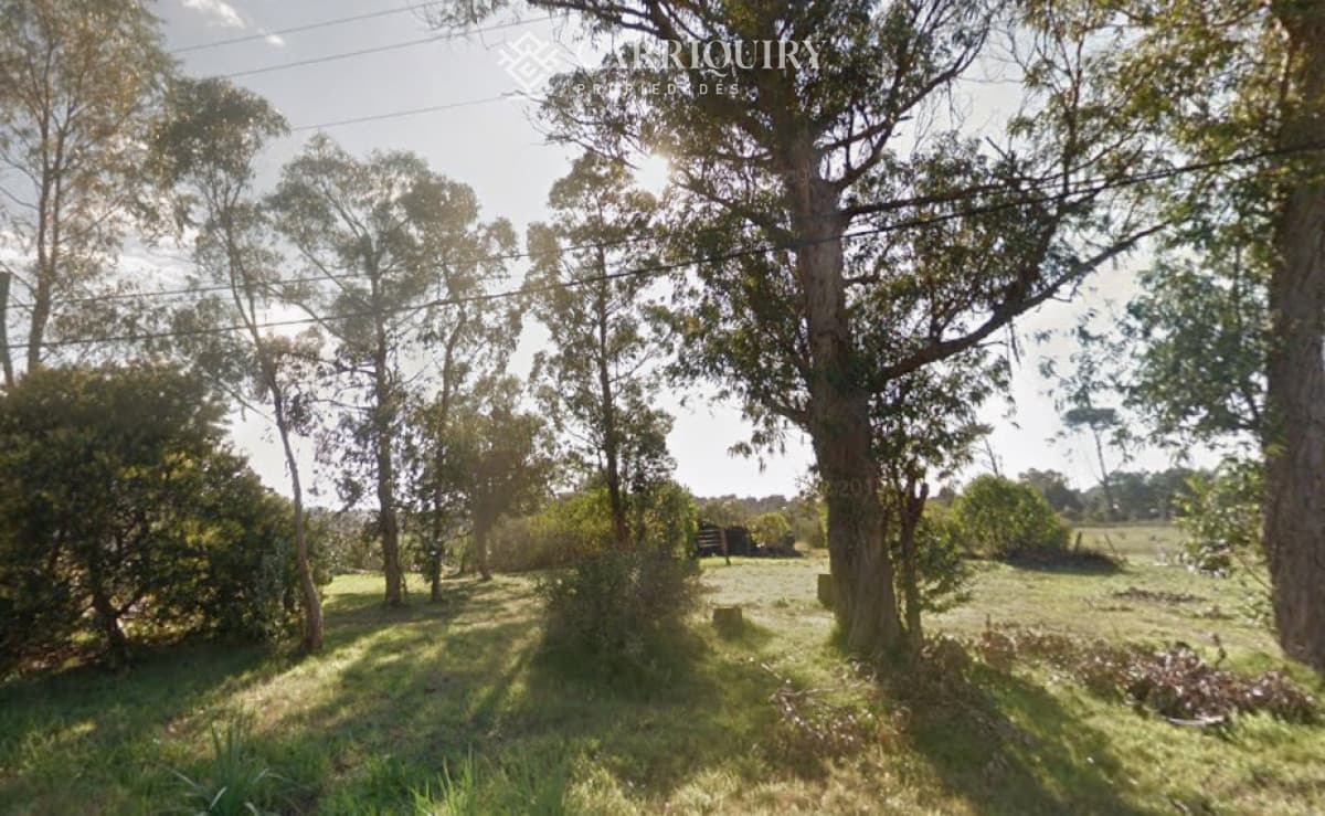 OPORTUNIDAD LOTE DE 1000 M2 EN VENTA EN PINARES ZONA MUY TRANQUILA DE BUENAS PROPIEDADES IDEAL PARA HACER 2 CASA  -
