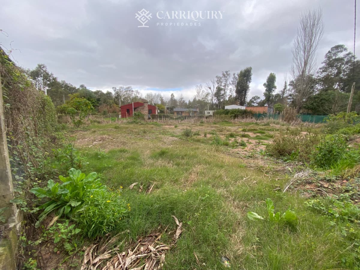 OPORTUNUIDAD LOTE EN VENTA EN UNA DE LA ZONAS DE MAYOR CRECIMIENTO EN LA BARRA EL TESORO   -