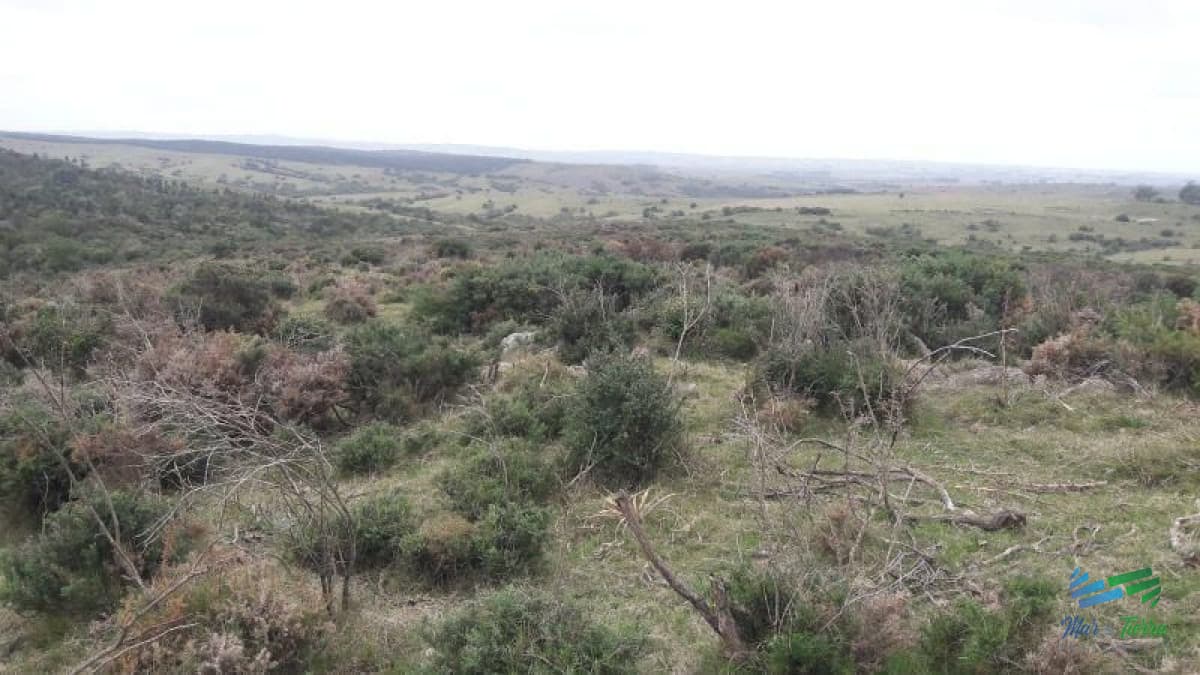 Campo en venta