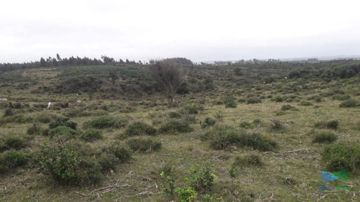 Campo en venta