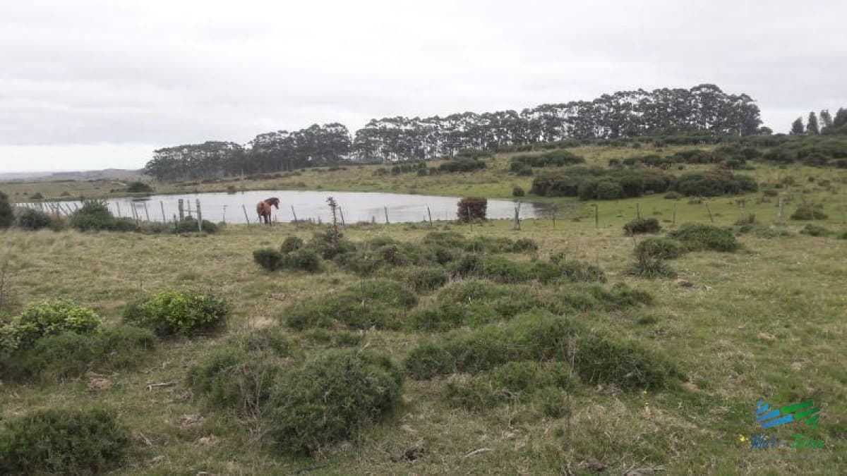 Campo en venta