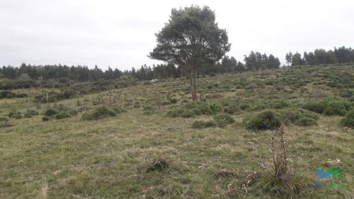 Campo en venta