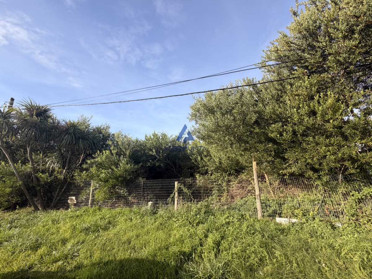 Terreno en MIraar Acres - La Barra