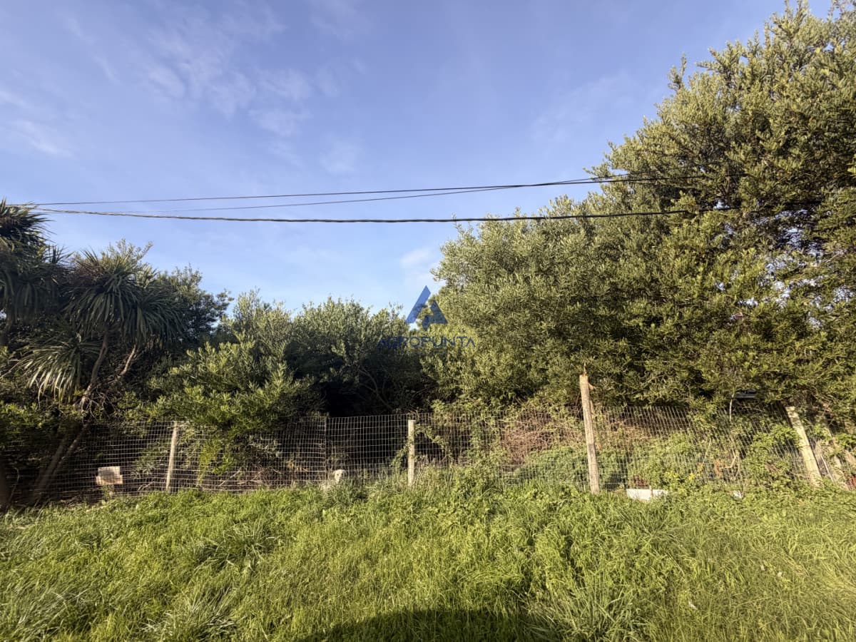 Terreno en MIraar Acres - La Barra