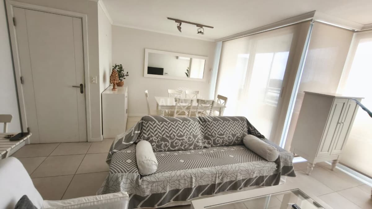 brava, roosevelt, punta del este