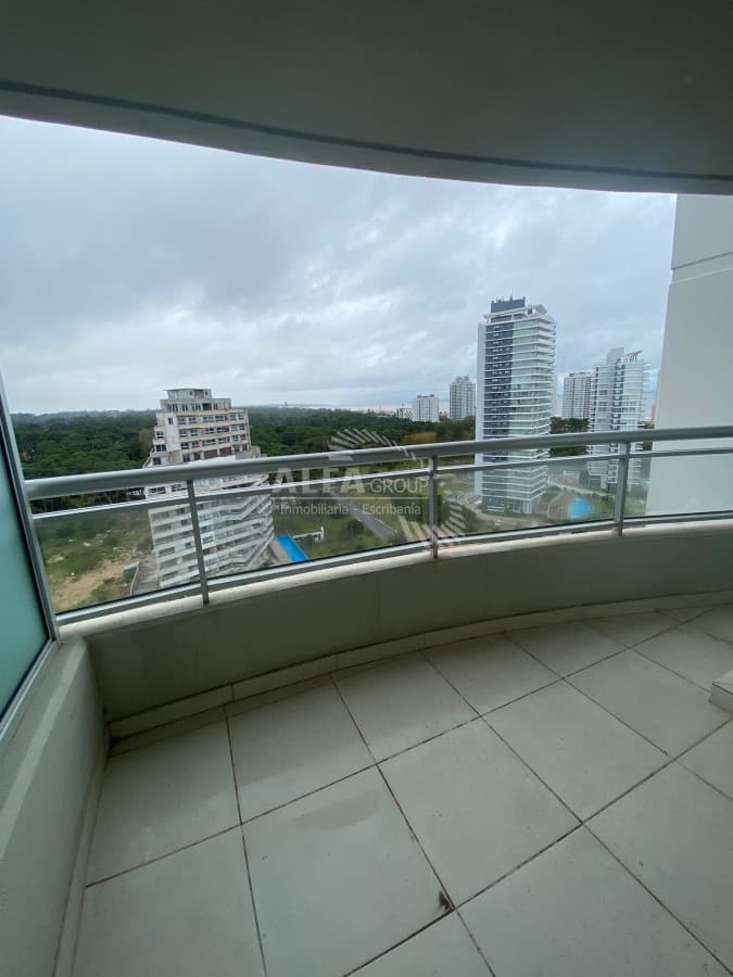 brava, roosevelt, punta del este
