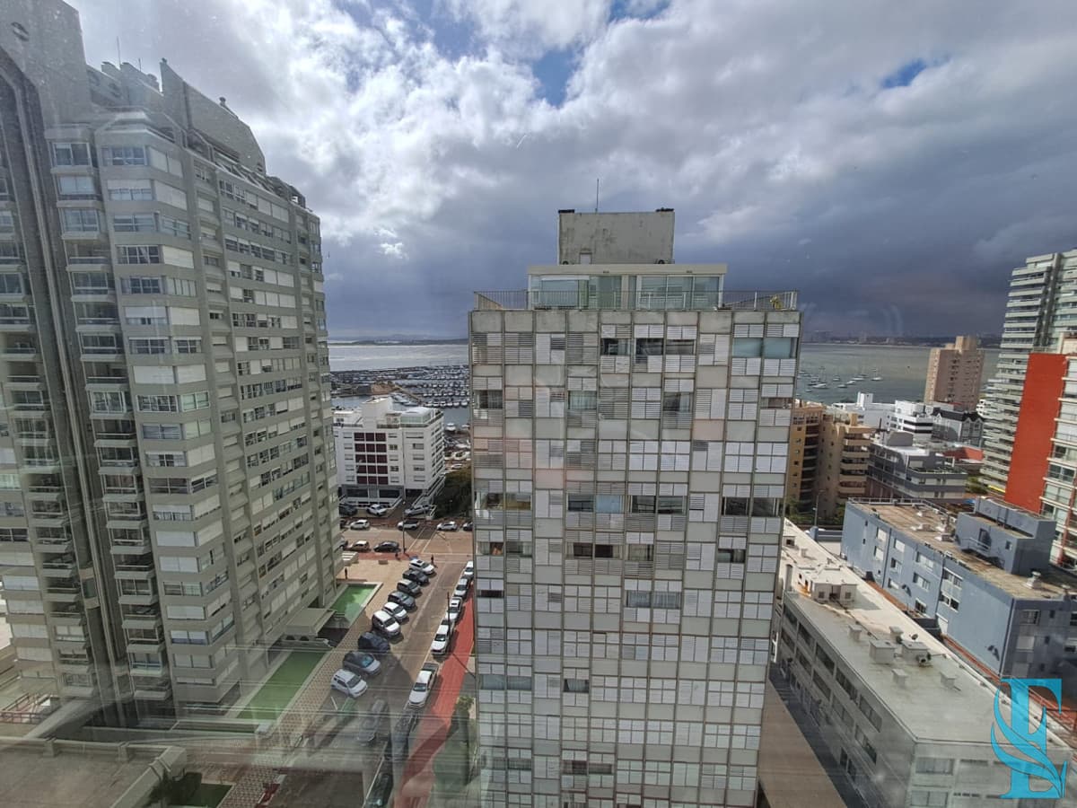 TORRE VAN GOGH