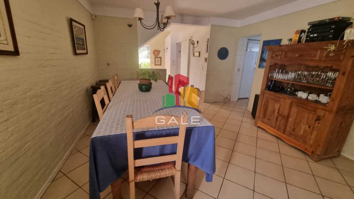 Venia a disfrutar en la Barra  -