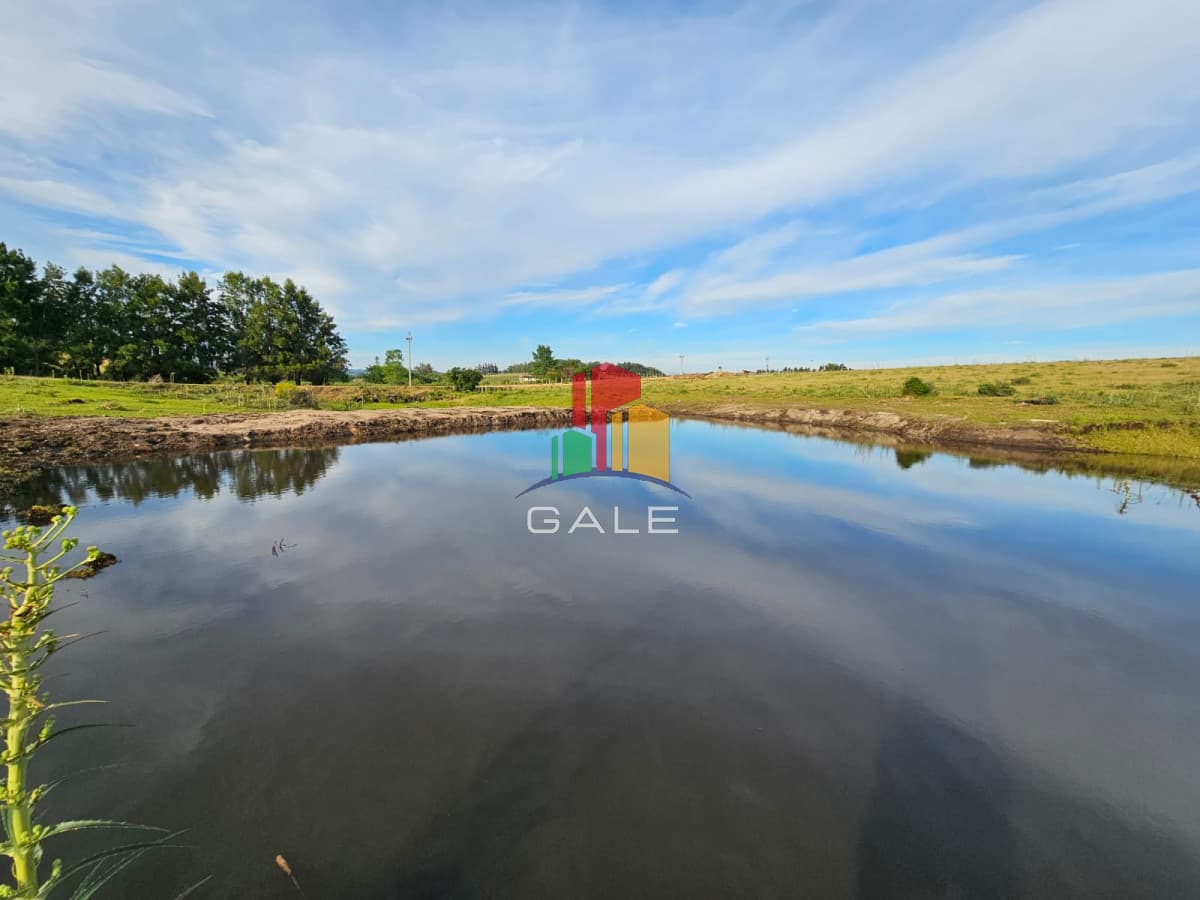 Gale Propiedades & Escribanía Chacra ID.3281 - Chacras en venta, sobre ruta 12, Maldonado