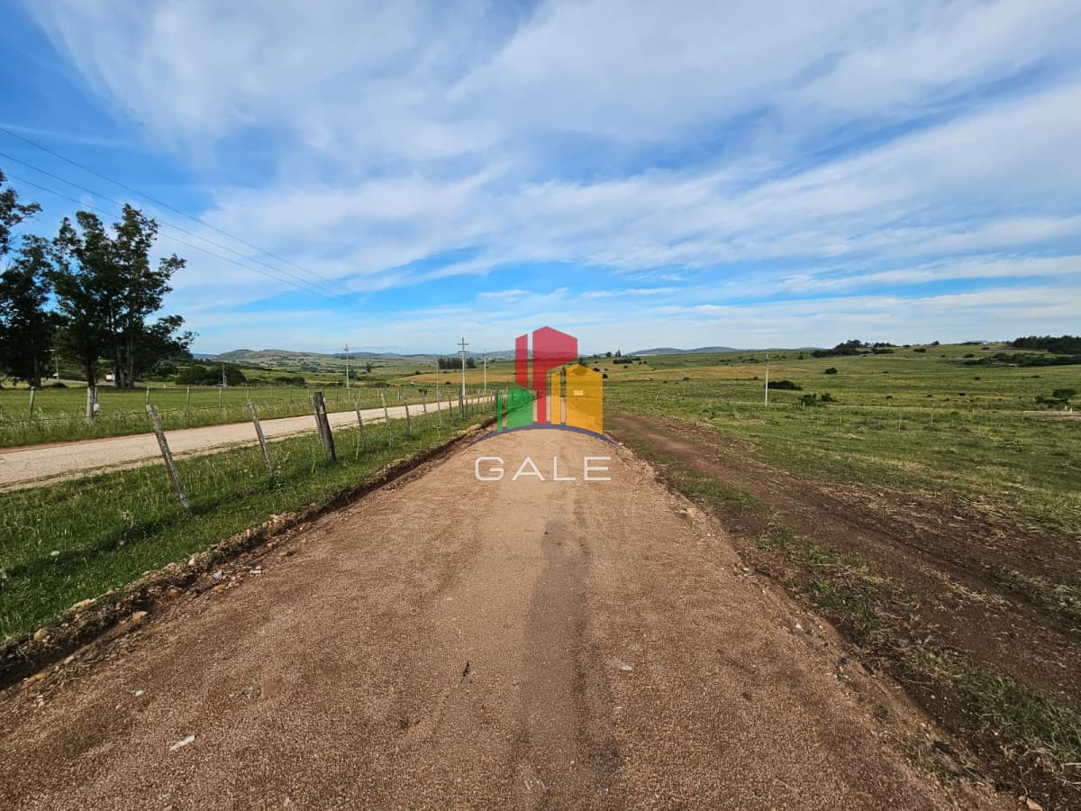 Gale Propiedades & Escribanía Chacra ID.3281 - Chacras en venta, sobre ruta 12, Maldonado