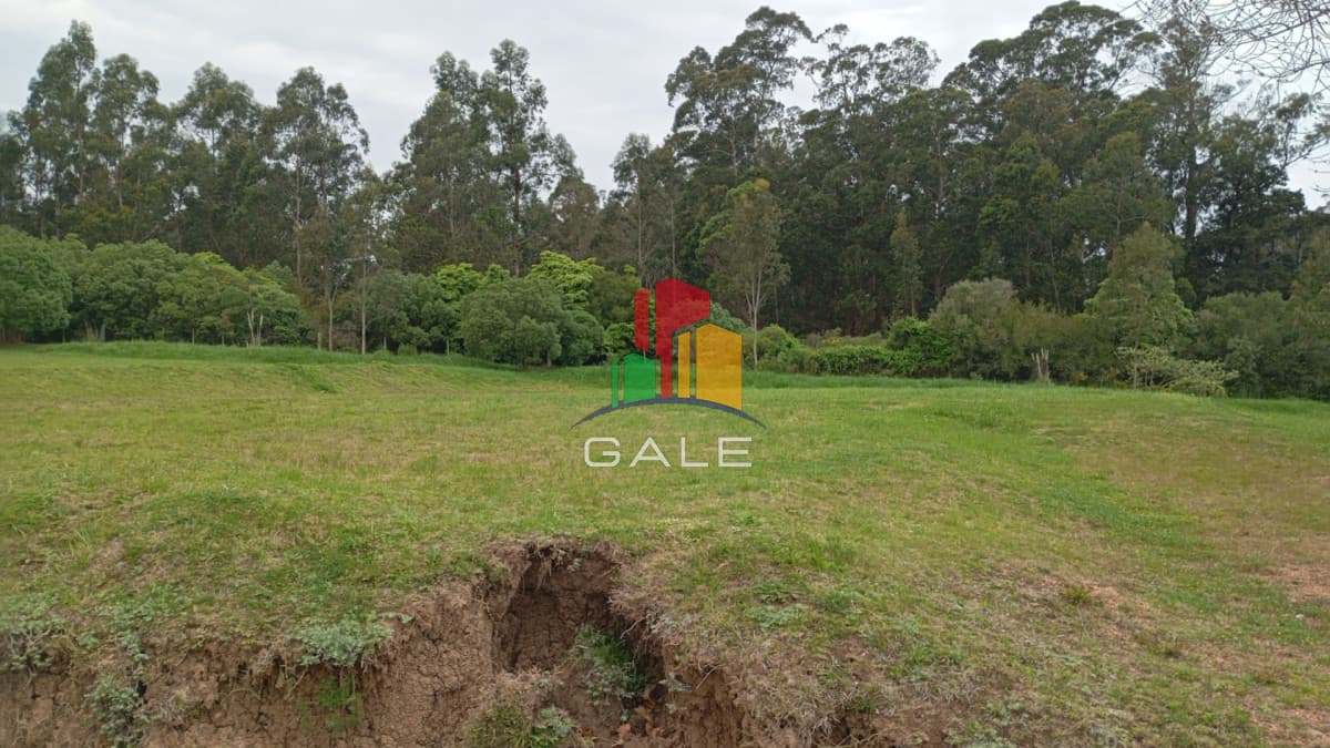 Gale Propiedades & Escribanía Terreno ID.4617 - Terreno en barrio privado - Punta Ballena