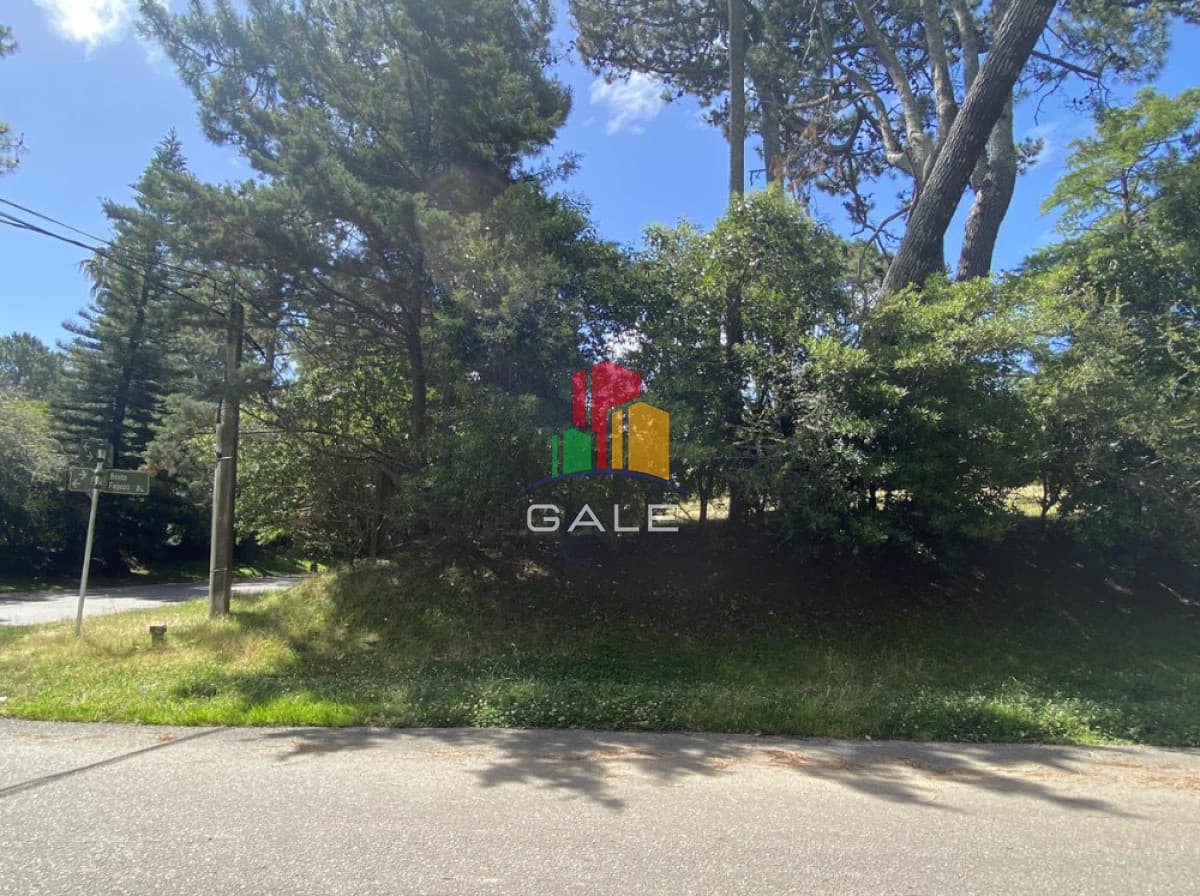 Gale Propiedades & Escribanía Terreno ID.3333 - Gran terreno para Inversores!