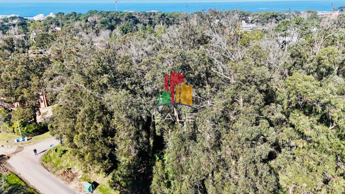 Gale Propiedades & Escribanía Terreno ID.4438 - Lote apto edificio Rincon del Indio