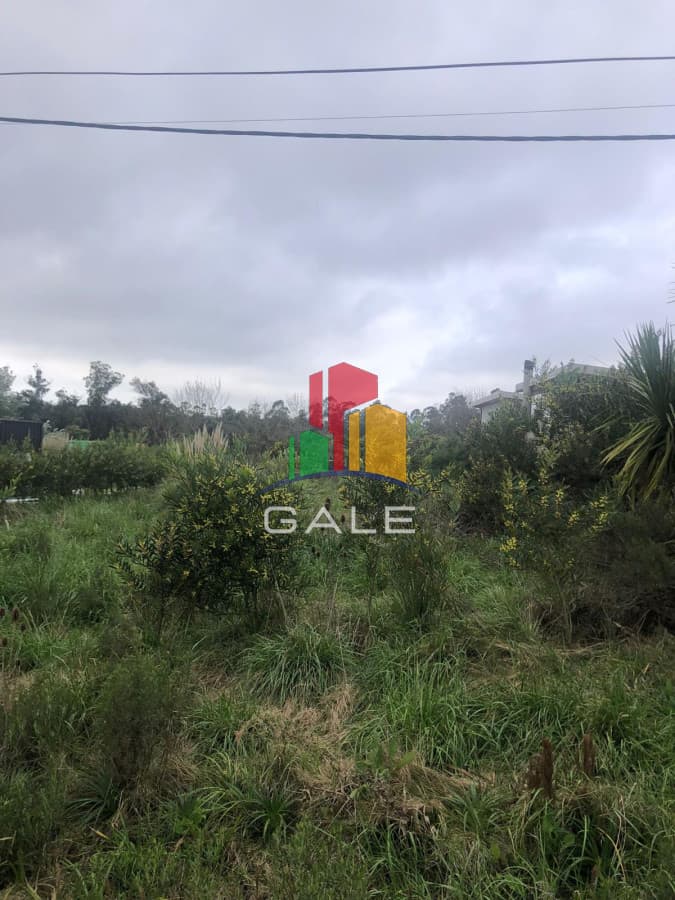 Gale Propiedades & Escribanía Terreno ID.1621 - Terrenos altos en La Barra