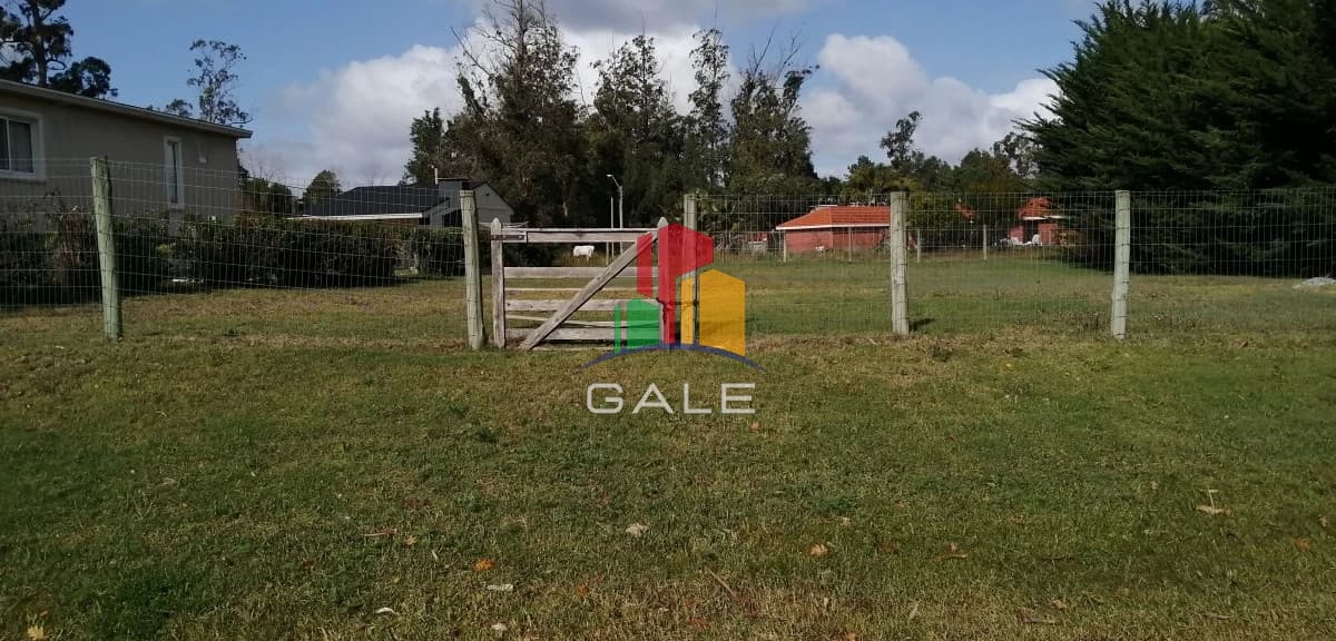 Gale Propiedades & Escribanía Terreno ID.2678 - Terreno en Punta del Este