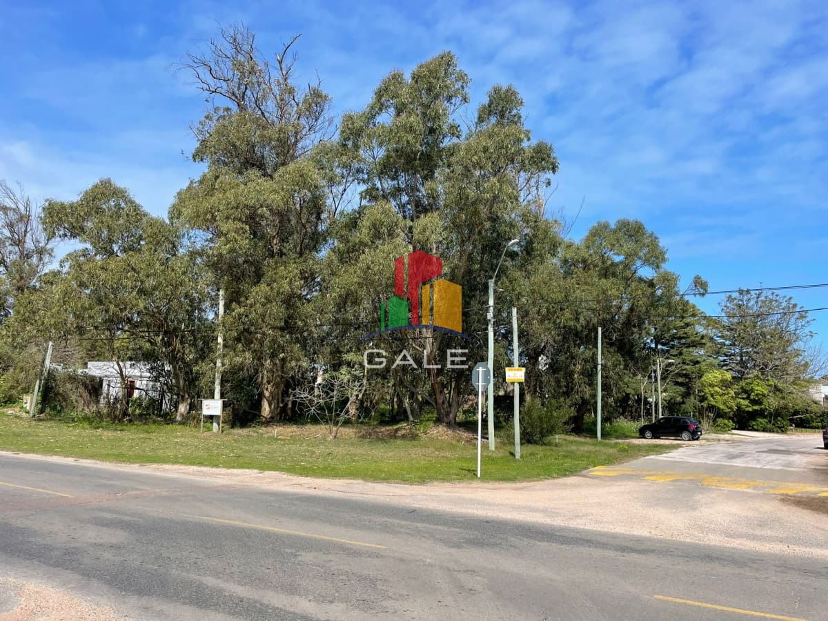 Gale Propiedades & Escribanía Terreno ID.926 - Terreno 10000 m2 , en Pinares - Punta del Este