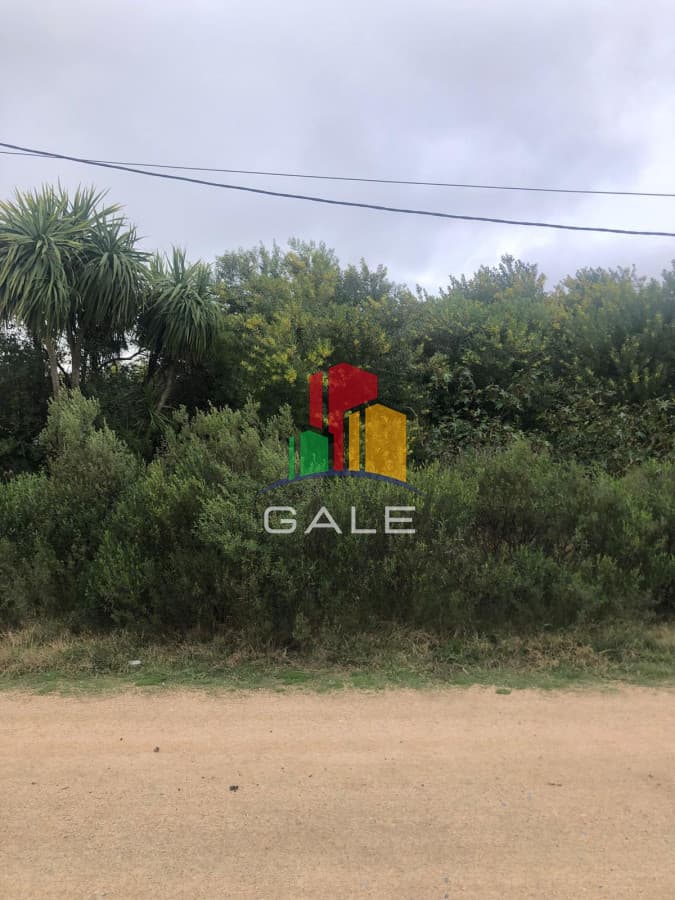 Gale Propiedades & Escribanía Terreno ID.1621 - Terrenos altos en La Barra