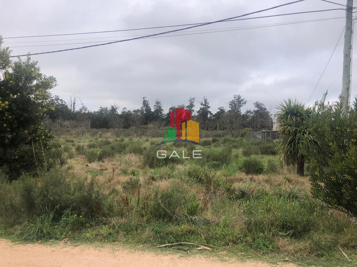 Gale Propiedades & Escribanía Terreno ID.1621 - Terrenos altos en La Barra