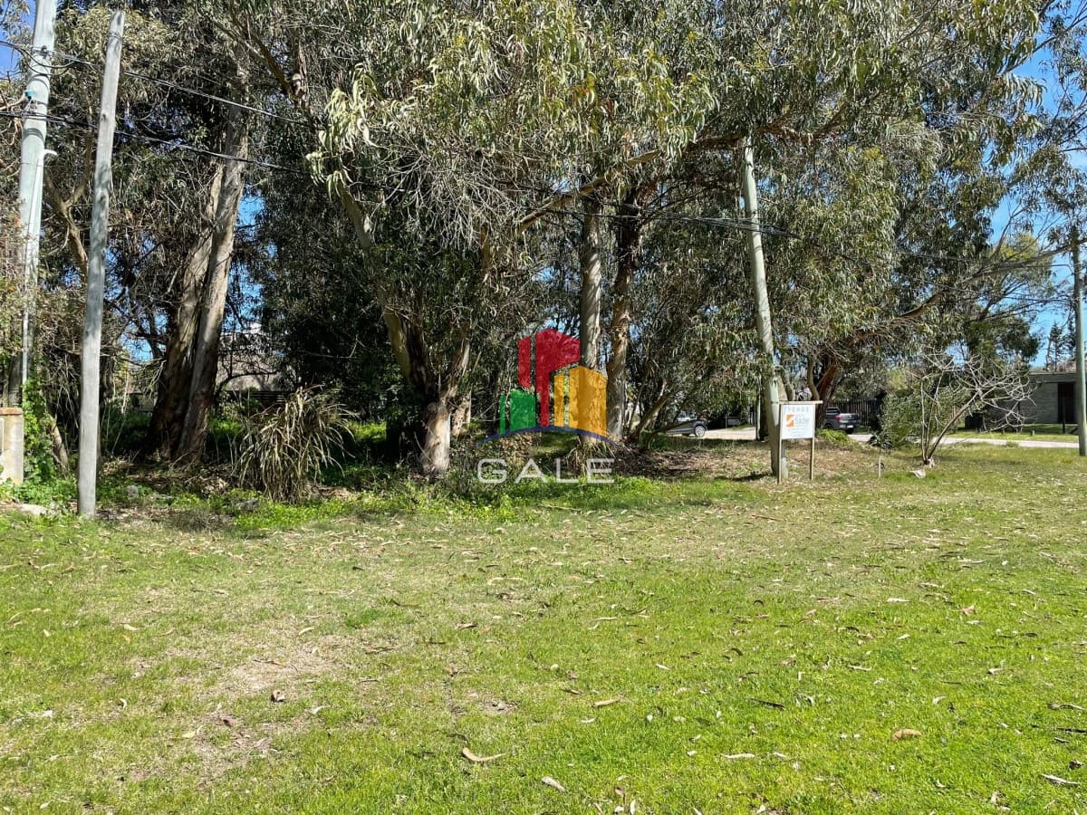 Gale Propiedades & Escribanía Terreno ID.926 - Terreno 10000 m2 , en Pinares - Punta del Este
