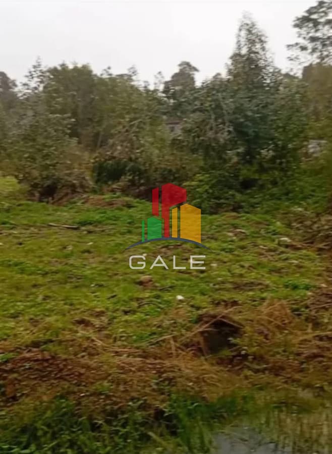 Gale Propiedades & Escribanía Terreno ID.4880 - Venta de terreno en Sauce de Portezuelo