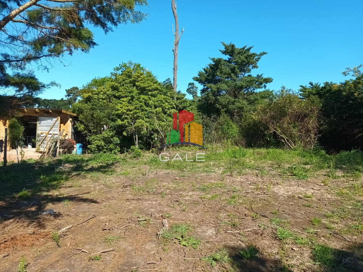 Gale Propiedades & Escribanía Terreno ID.1666 - Terreno muy bien ubicado en Piedras del Chileno