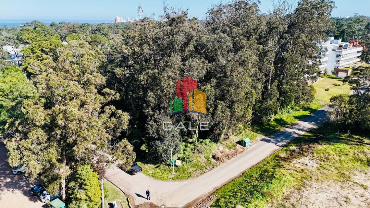 Gale Propiedades & Escribanía Terreno ID.4438 - Lote apto edificio Rincon del Indio