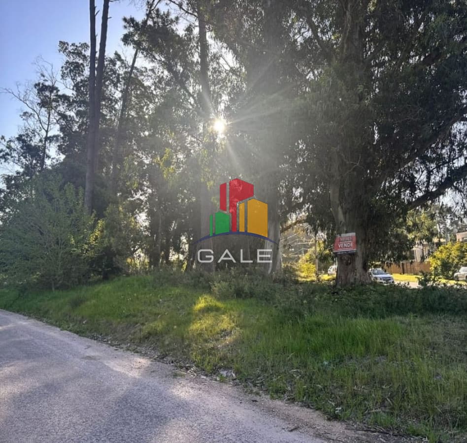 Gale Propiedades & Escribanía Terreno ID.3630 - Oportunidad Terreno!