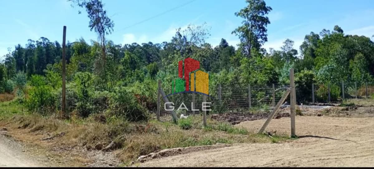Gale Propiedades & Escribanía Terreno ID.4880 - Venta de terreno en Sauce de Portezuelo