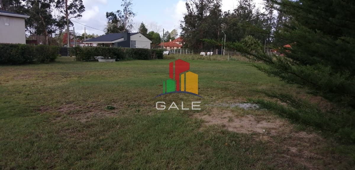 Gale Propiedades & Escribanía Terreno ID.2882 - Terreno en Punta del Este, Marly