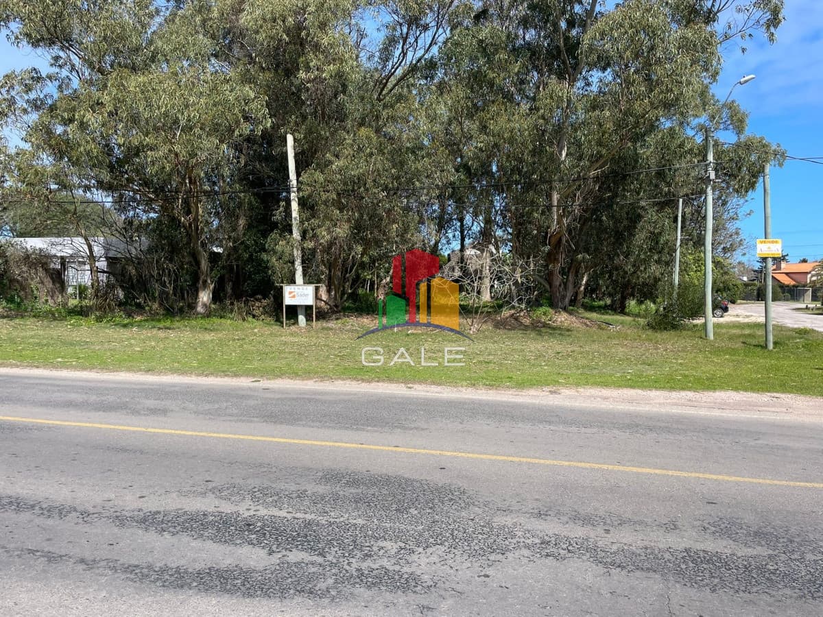 Gale Propiedades & Escribanía Terreno ID.926 - Terreno 10000 m2 , en Pinares - Punta del Este