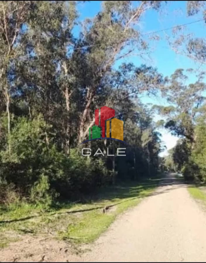 Gale Propiedades & Escribanía Terreno ID.4880 - Venta de terreno en Sauce de Portezuelo